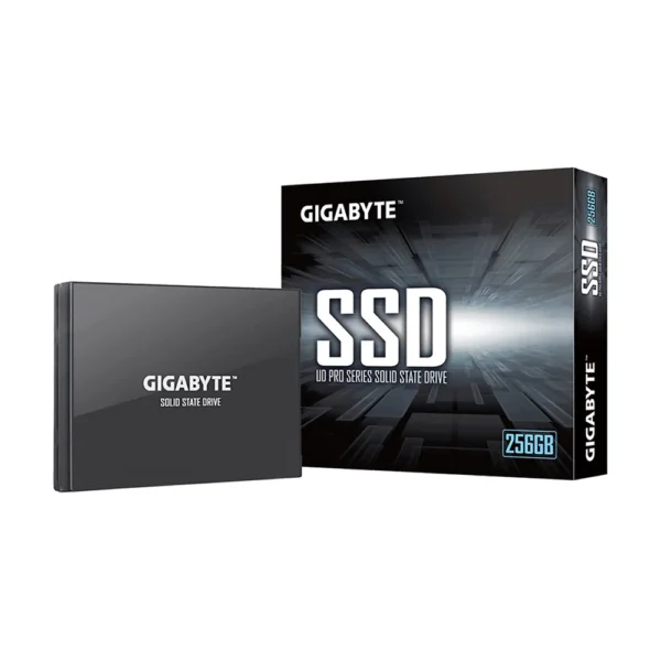 SSD 256G GIGABYTE Chính hãng Viễn Sơn