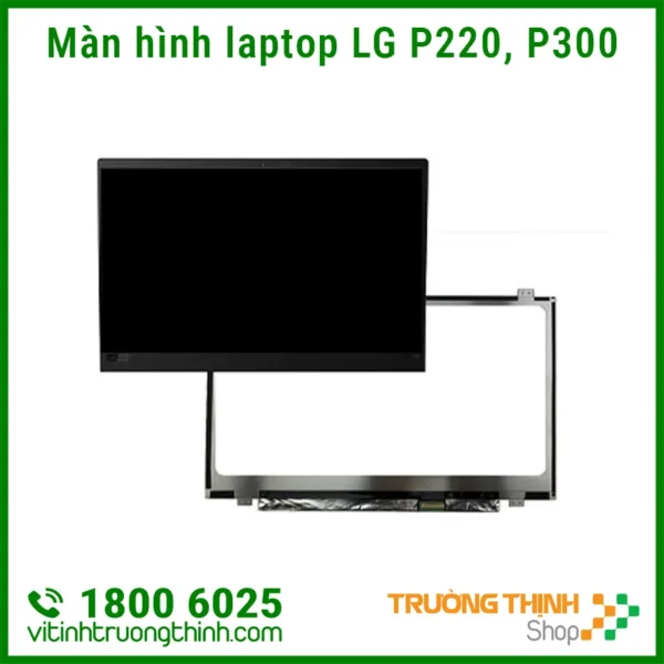 Màn Hình Laptop LG P220, P300 LED