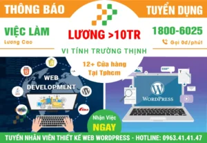 Tuyển Nhân Viên Thiết Kế Website Wordpress Tại TPHCM