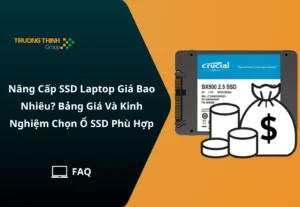 Nâng Cấp SSD Laptop Giá Bao Nhiêu? Bảng Giá Và Kinh Nghiệm Chọn Ổ SSD Phù Hợp