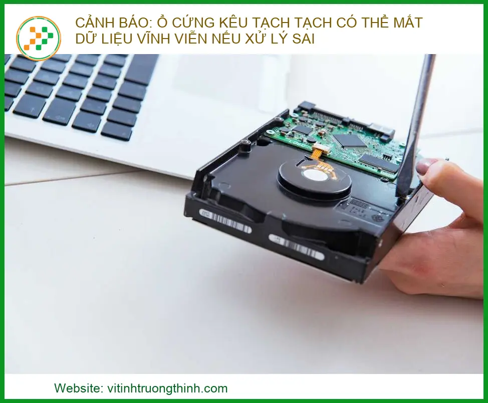 Cảnh báo: Ổ cứng kêu tạch tạch - Cách xử lý cứu dữ liệu an toàn nhất