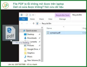 File PDF bị lỗi không mở được trên laptop Dell có sửa được không? Nơi cứu dữ liệu uy tín