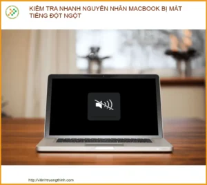 Kiểm Tra Nhanh Nguyên Nhân MacBook Bị Mất Tiếng Đột Ngột: Hướng Dẫn Chi Tiết 2026