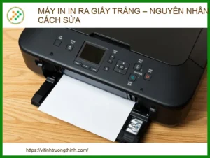 Máy in in ra giấy trắng: Nguyên nhân và cách khắc phục chi tiết 2026