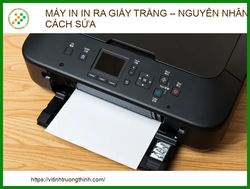 Máy in in ra giấy trắng: Nguyên nhân và cách khắc phục chi tiết 2026