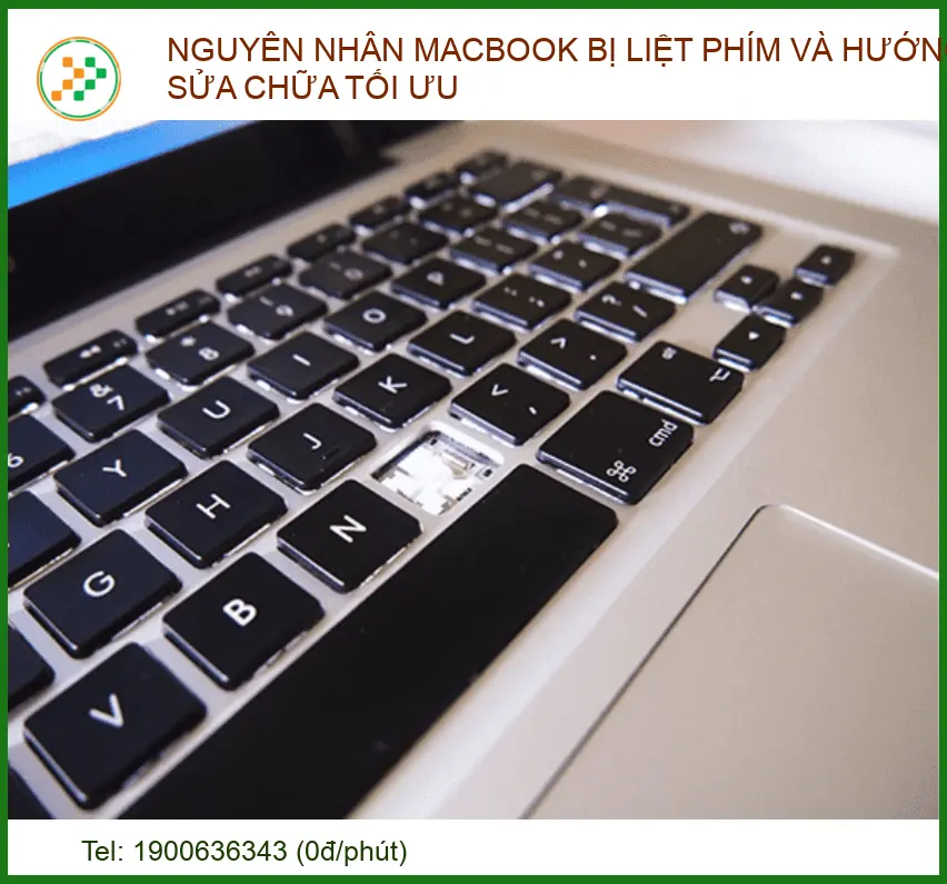 Nguyên nhân MacBook bị liệt phím và cách khắc phục triệt để từ chuyên gia
