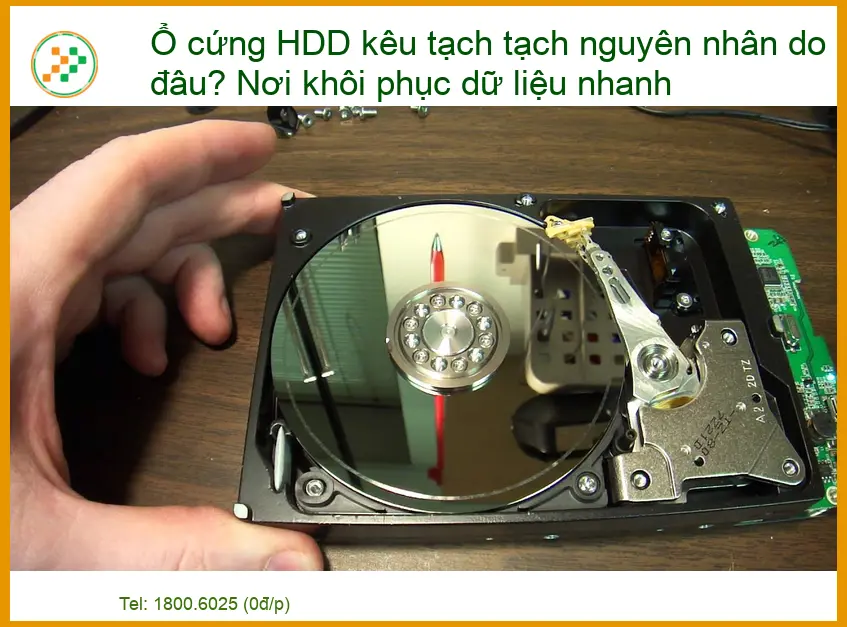 Ổ cứng HDD kêu tạch tạch nguyên nhân do đâu? Nơi khôi phục dữ liệu nhanh uy tín