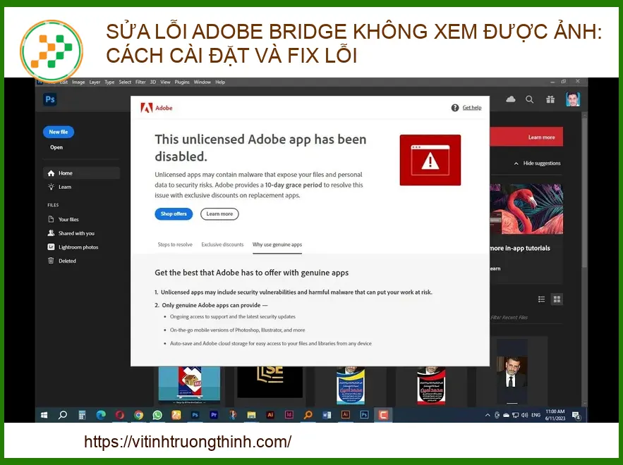 Sửa lỗi Adobe Bridge không xem được ảnh: Hướng dẫn từ chuyên gia 2026