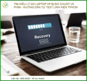 Tìm hiểu lý do Laptop HP bị đơ chuột và phím – Hướng dẫn tự test linh kiện TPHCM