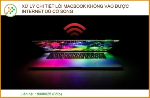 MacBook không vào được internet dù có sóng: Nguyên nhân & Cách khắc phục chuyên nghiệp