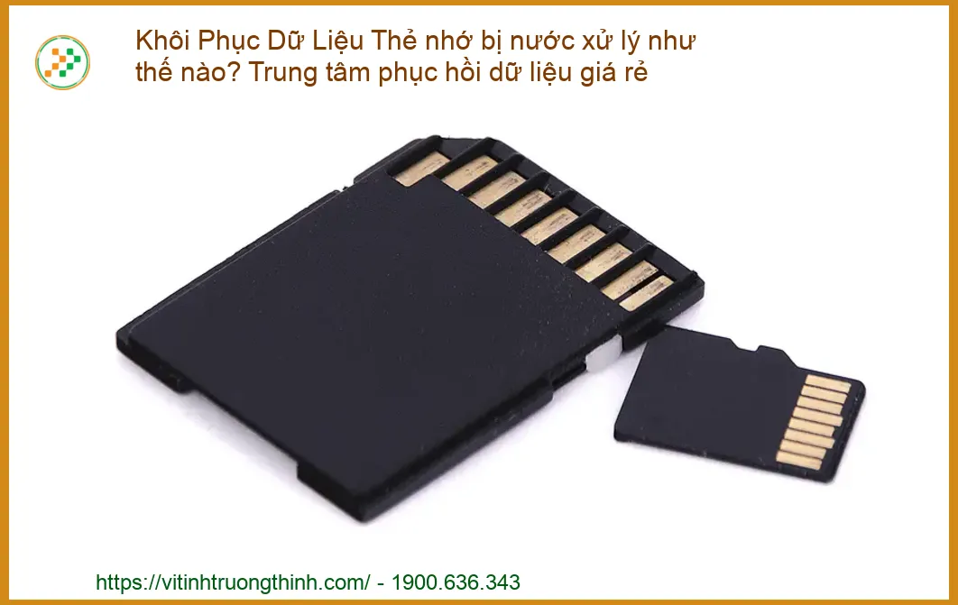 Khôi Phục Dữ Liệu Thẻ Nhớ Bị Nước: Giải Pháp Chuyên Nghiệp & Trung Tâm Phục Hồi Dữ Liệu Giá Rẻ