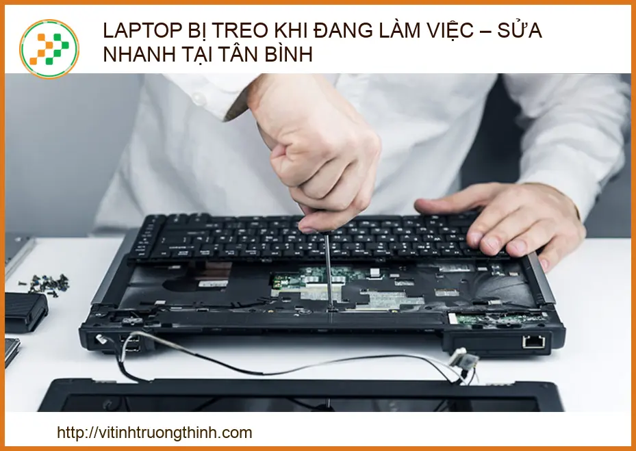 Laptop Bị Treo Khi Đang Làm Việc – Sửa Nhanh Tại Tân Bình | Chuyên Gia Trường Thịnh