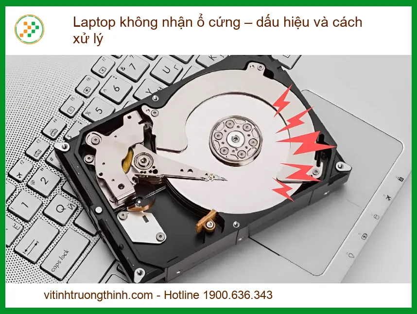 Laptop không nhận ổ cứng: Dấu hiệu, nguyên nhân và cách khắc phục triệt để