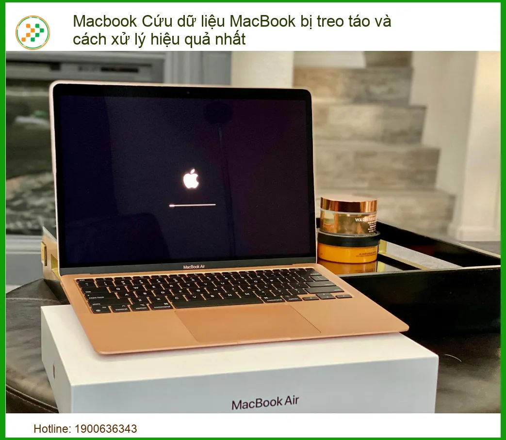 MacBook Bị Treo Táo: Hướng Dẫn Cứu Dữ Liệu & Xử Lý Hiệu Quả Nhất