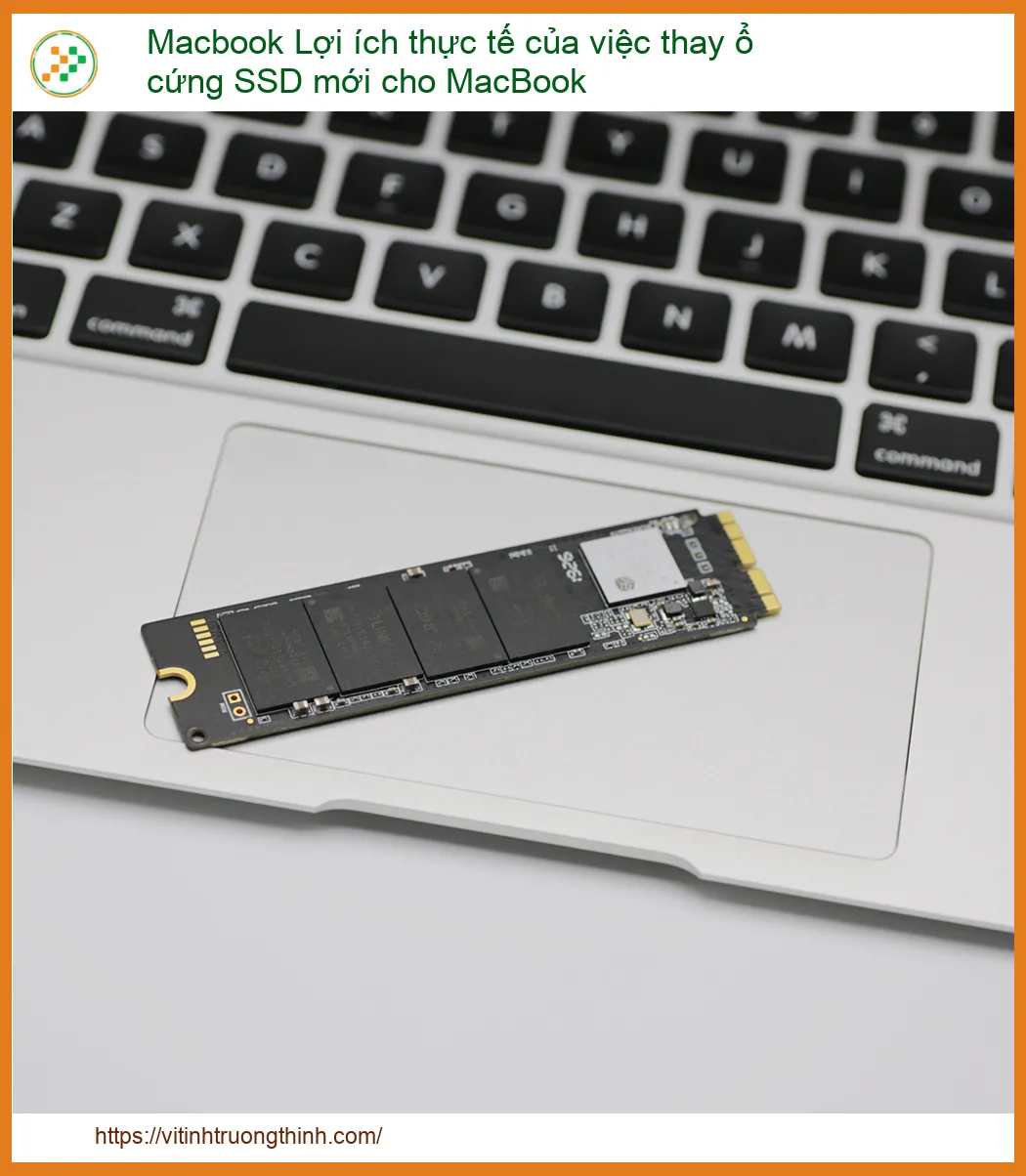 Macbook Lợi ích thực tế của việc thay ổ cứng SSD mới cho MacBook: Tăng tốc vượt trội!