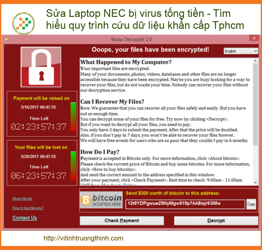 Sửa Laptop NEC bị virus tống tiền - Tìm hiểu quy trình cứu dữ liệu khẩn cấp Tphcm