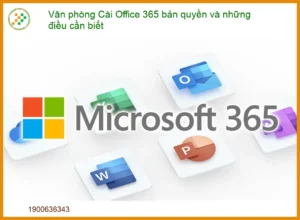 Văn Phòng Cài Office 365 Bản Quyền: Những Điều Cần Biết & Dịch Vụ Hỗ Trợ Tận Nơi