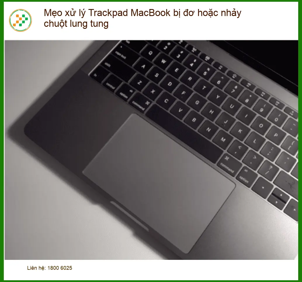 Macbook Trackpad bị đơ, nhảy chuột lung tung - Cách xử lý tại nhà
