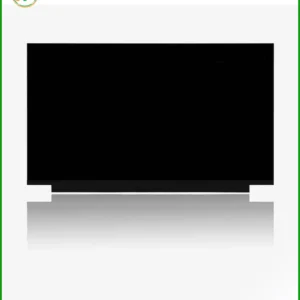 Màn hình Laptop Razer Blade 17 – Thay Nhanh Lấy Liền Tại Cửa Hàng TPHCM