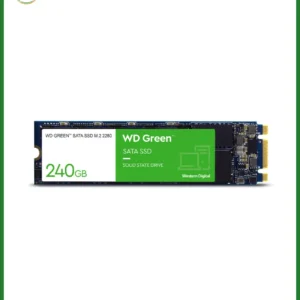 Nâng cấp SSD WD GREEN 240GB M2 – Trung tâm TPHCM uy tín, giá tốt