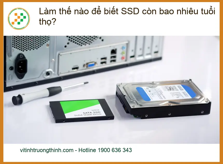 PC Làm thế nào để biết SSD còn bao nhiêu tuổi thọ? – Tư vấn chuyên gia Vi Tính